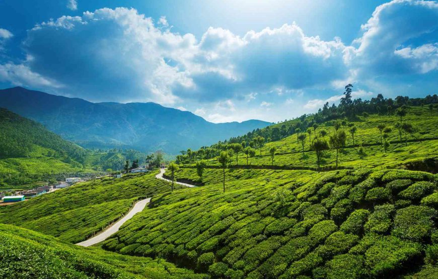 Kerala: 05 Nights/06 Days Package